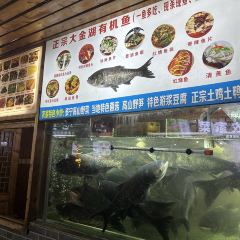Xiangweitucaihuoyuguan (shinianlao) User Photo