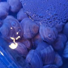 三亚湾海居铂尔曼度假酒店·普瑞思泳池吧 User Photo