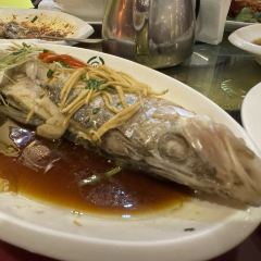 El Dragon User Photo