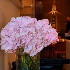 CUT BY WOLFGANG PUCK User Photo