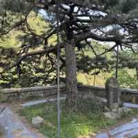 評論圖片 7
