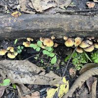 評論圖片 2