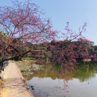 評論圖片 4