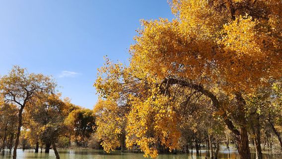 Lop Nur National Wetland Park