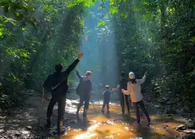 Jinuo Mountain Rainforest Hiking