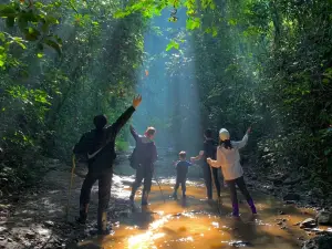 Jino Mountain Rainforest Hiking