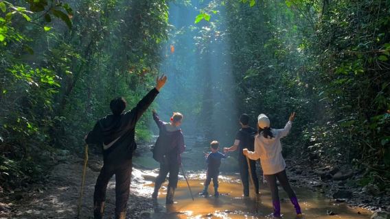 Jinuo Mountain Rainforest Hiking