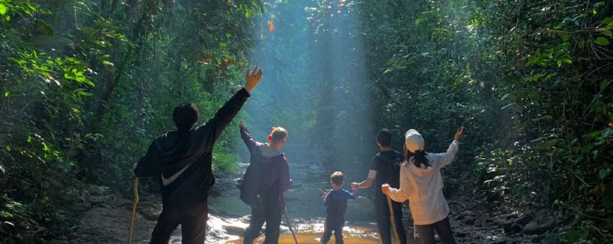 Jinuo Mountain Rainforest Hiking