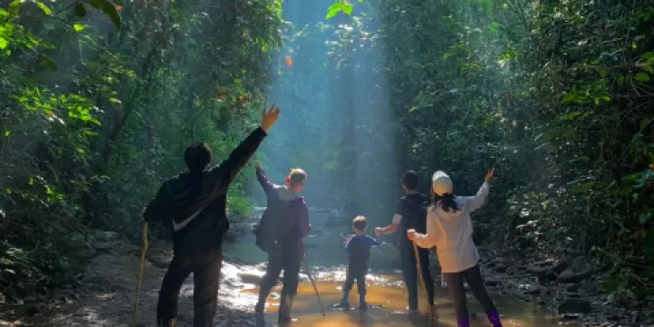 基諾山雨林徒步