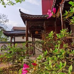 Cuifulaozaosifang Restaurant User Photo