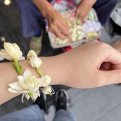 YaBa ShengJian User Photo