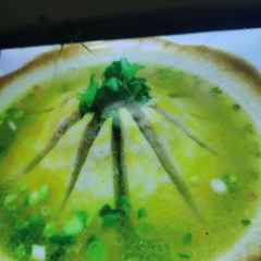 食尝聚 User Photo