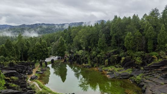 石林常见，红石林不常见。遇到雨天，红石林呈黑褐色，有点小遗憾