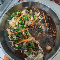 树上土鸡 User Photo