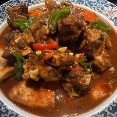 棉花绽放·新疆菜 User Photo