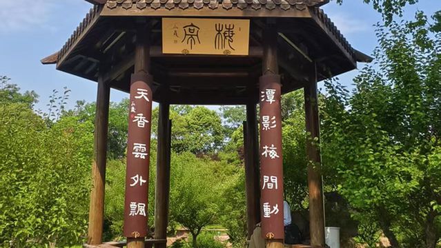 shou xi hu hu shang mei lin