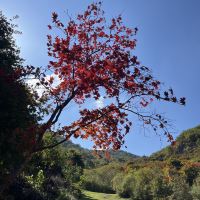 評論圖片 8