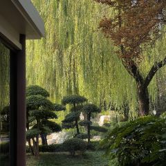 唐华华邑酒店·鲜艳全日餐厅 User Photo