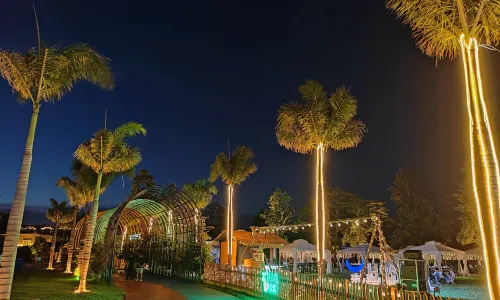 Zitaoli Amusement Park