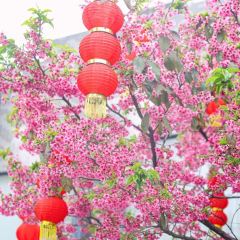 Da Men Gong User Photo