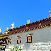 評論圖片 8