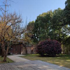 XIN RONG JI User Photo
