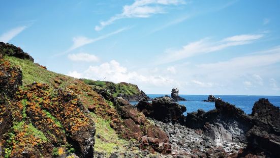 济州岛的涉地可支太美了，简直就是大自然的杰作，火山石鬼斧神工