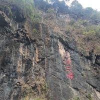 評論圖片 3