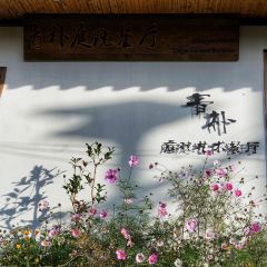 青朴庭院餐厅 User Photo