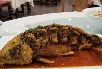 运河会馆 User Photo