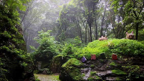 meng meng da le yuan