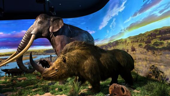 sa la wu su yi zhi bo wu guan