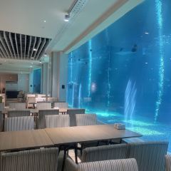 三亚亚龙湾迎宾馆·海洋主题海蓝餐厅 User Photo