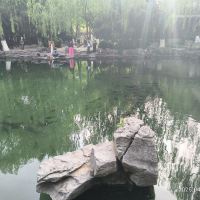 評論圖片 4