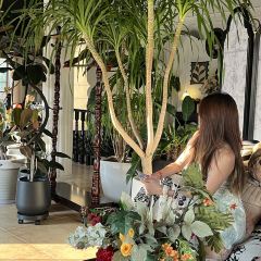 夏荷西餐厅(鸣山店) User Photo