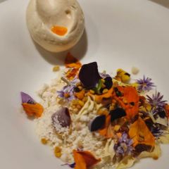 Disfrutar User Photo