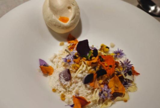 Disfrutar User Photo