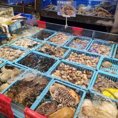 DaYang HaiXianCheng 여행 사진