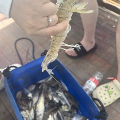 渔舟畅晚_出海捕鱼 User Photo