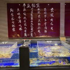 XIN RONG JI User Photo
