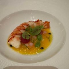 Acquerello User Photo