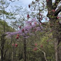 評論圖片 8