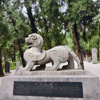 評論圖片 1