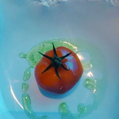 OSSIANO UNDERWATER RESTAURANT & BAR User Photo