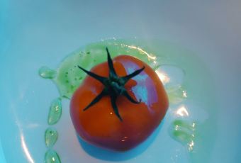 OSSIANO UNDERWATER RESTAURANT & BAR User Photo