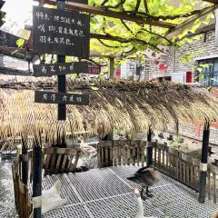 優之名鵝城張用戶圖片
