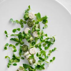 JUNWANGFU JUN YAN User Photo