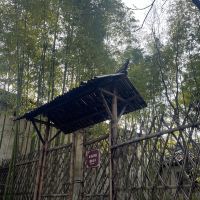 評論圖片 1