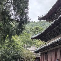 評論圖片 3