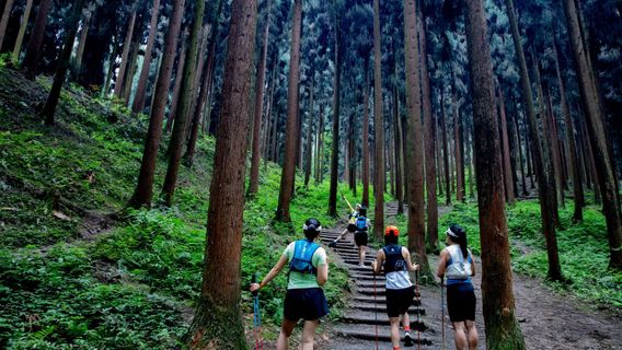 zhong ba sen lin gong yuan